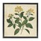 Stupell Industries Yellow Bushels Botanical Illustration Floating Frame, design by Petal Prints Design